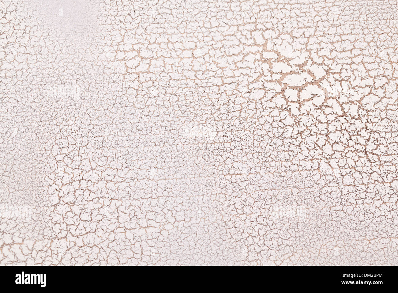 Weiße Holz Oberfläche Risse. Craquelure. Stockfoto