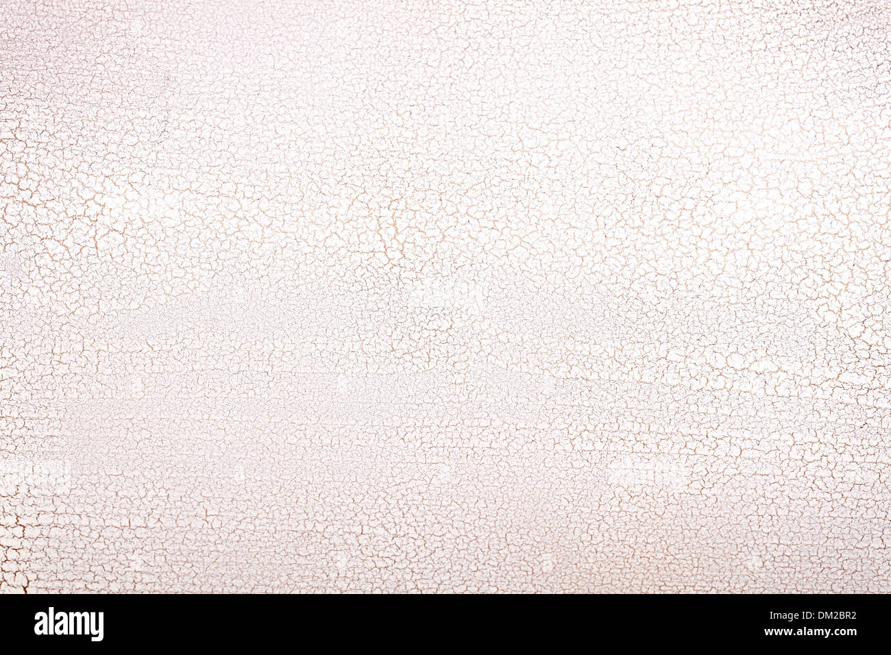 Weiße Holz Oberfläche Risse. Craquelure. Stockfoto