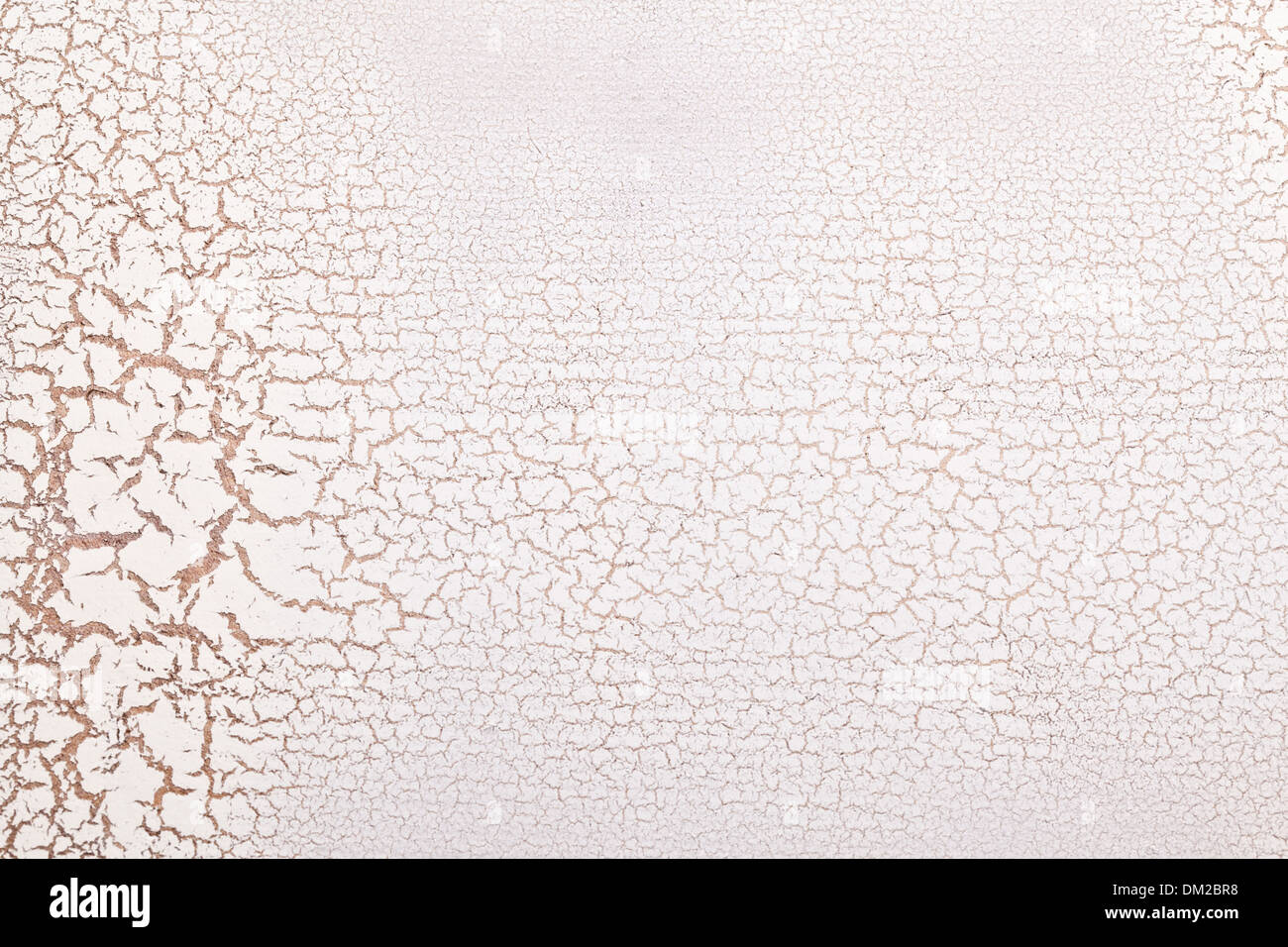 Weiße Holz Oberfläche Risse. Craquelure. Stockfoto