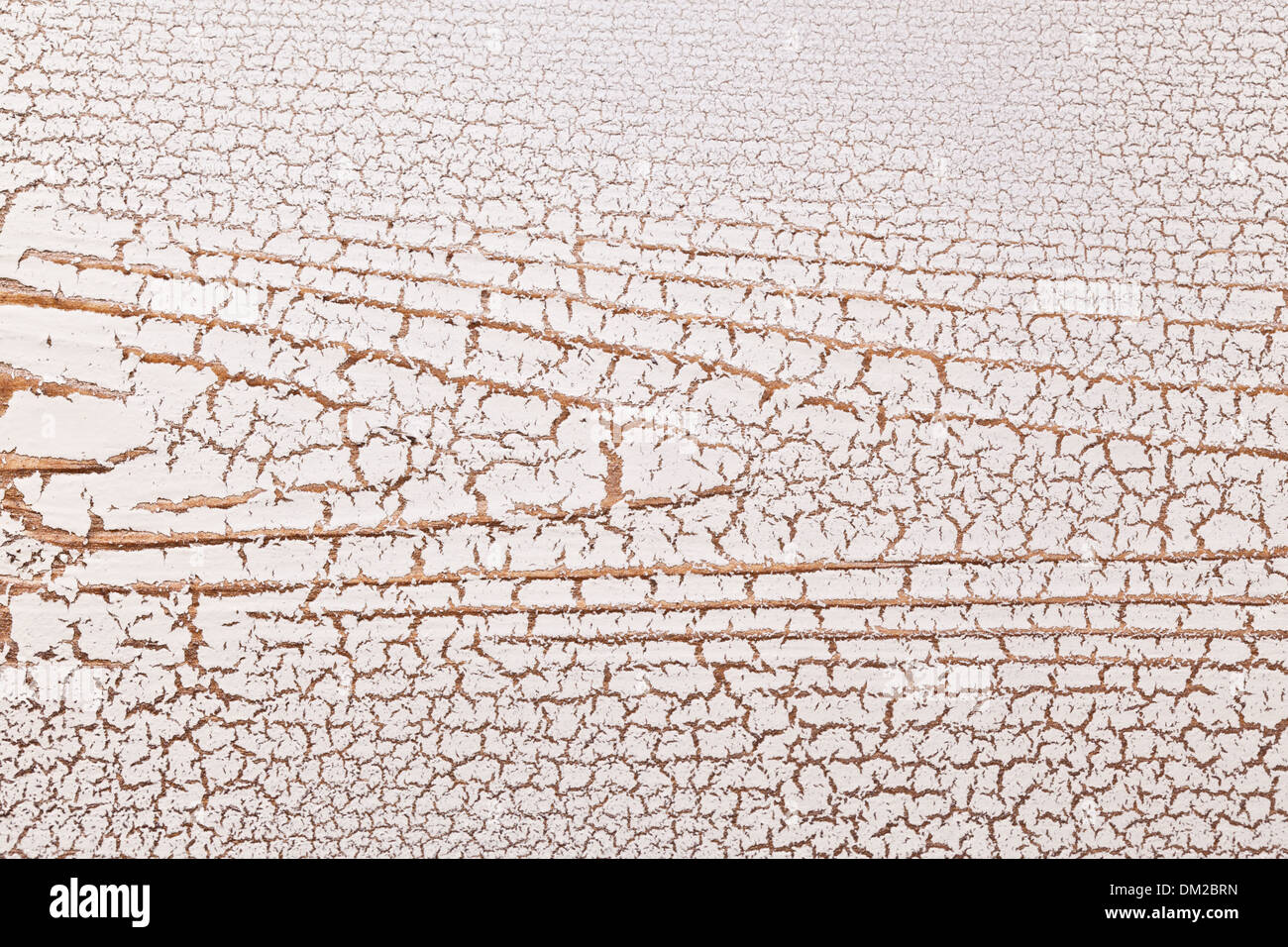Weiße Holz Oberfläche Risse. Craquelure. Stockfoto
