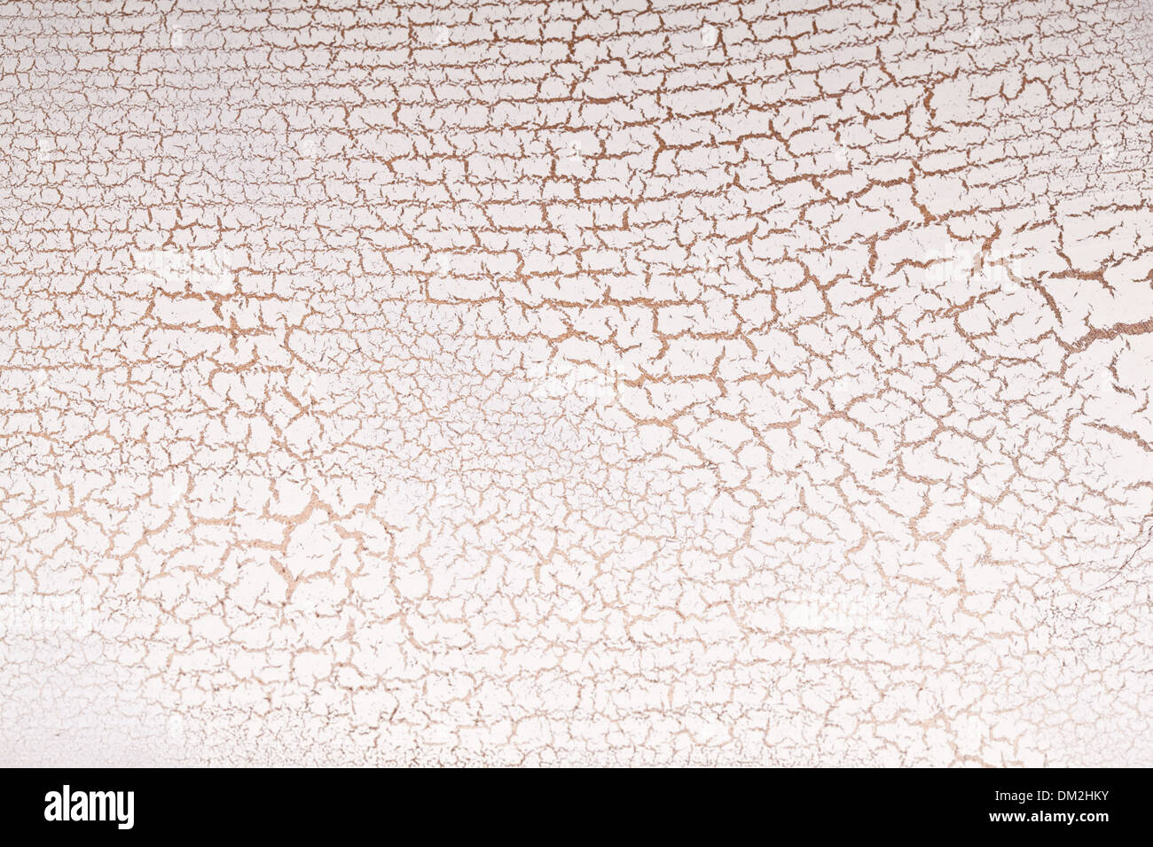 Weiße Holz Oberfläche Risse. Craquelure. Stockfoto