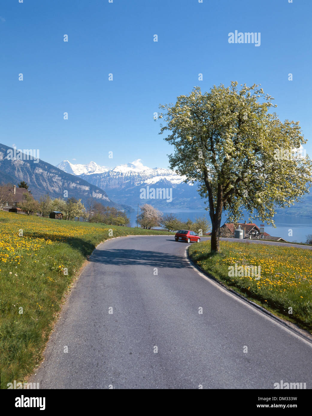 Schweiz-Europa-Verkehr Auto Automobil Autos Automobile Kanton Bern Berner Alpen Berner Oberland Jungfrau Mönch Mönch Eiger Stockfoto