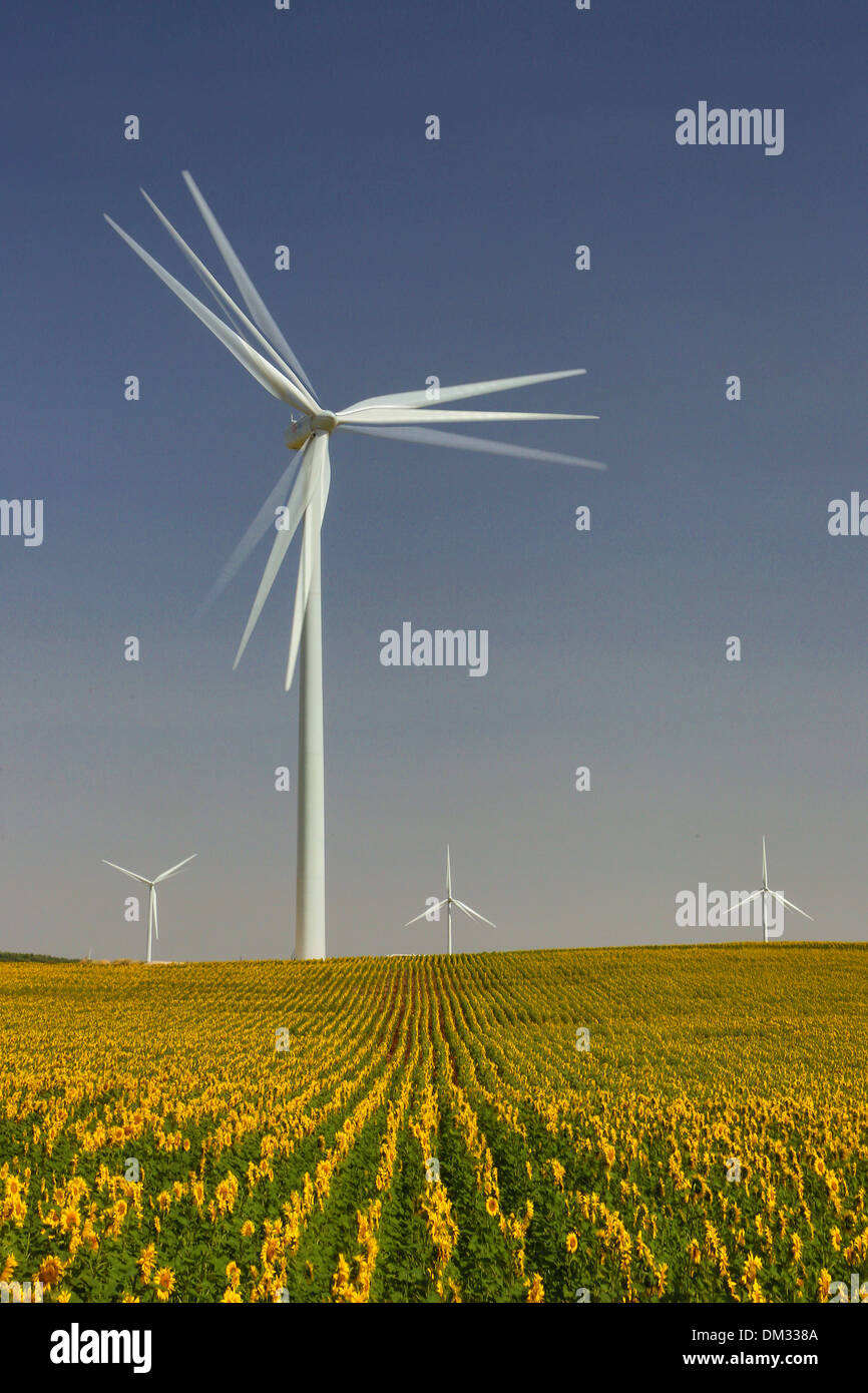 Landwirtschaft, Andalusien, Energie, Feld, Spanien, Europa, Sonnenblumen, Aeolic, Wind, Turbine, Strom, Leistung Stockfoto