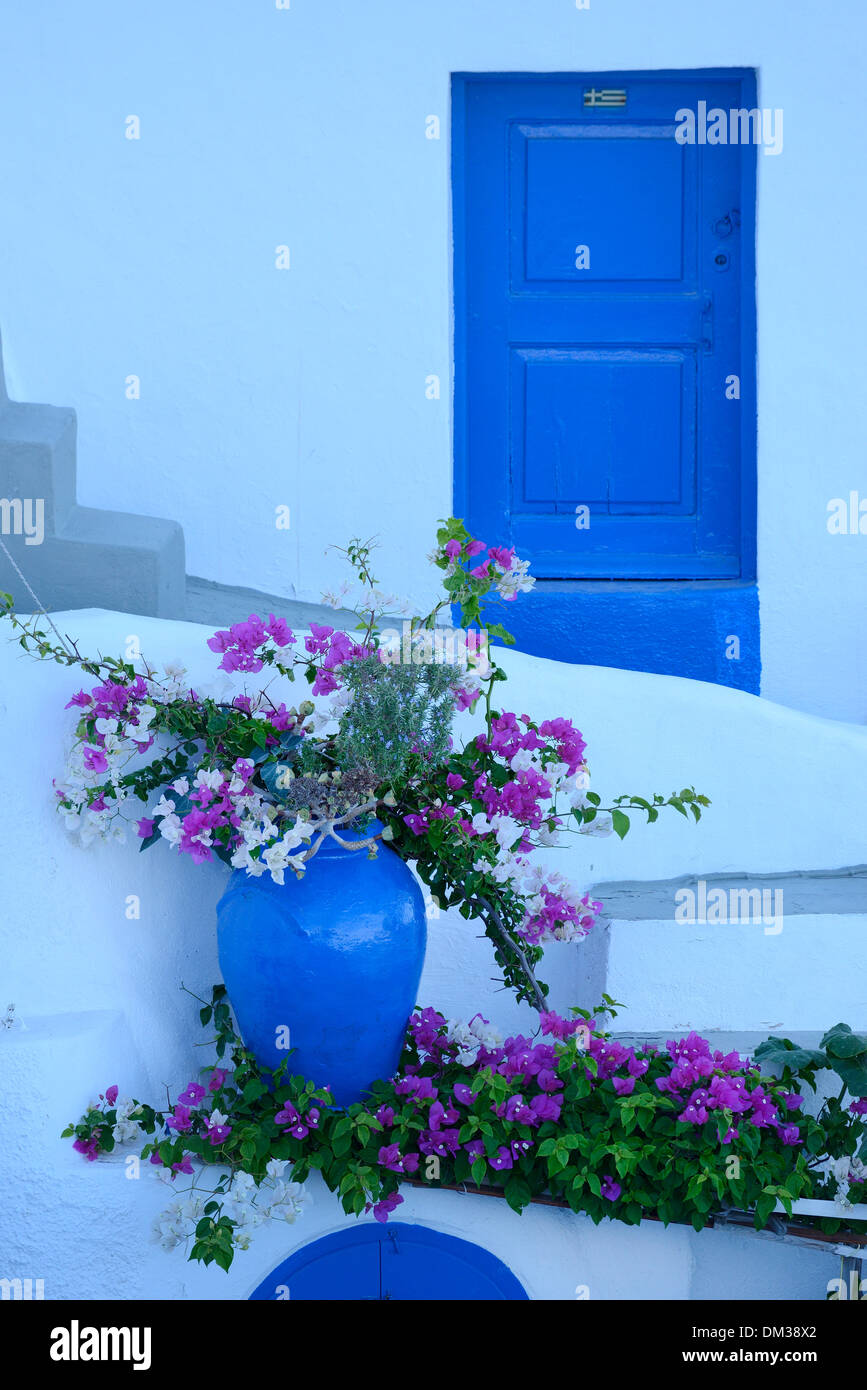 Europa-Ägäis Griechenland Santorini Thira Kykladeninsel griechischen Blumentopf blühen Tür Detail noch Architektur Griechisch weiß blau Stockfoto