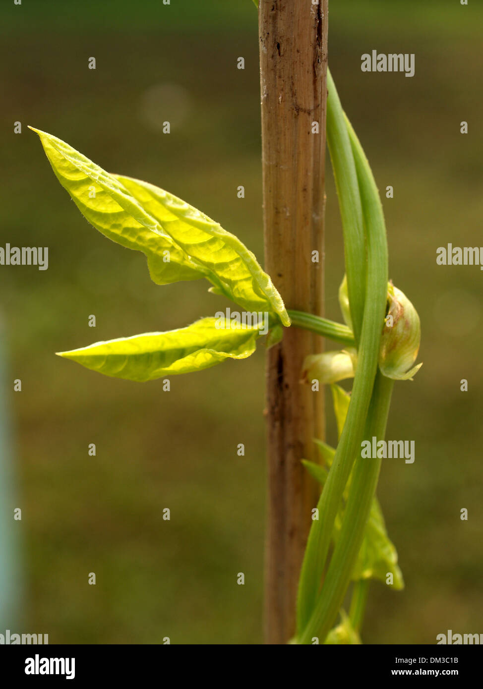 abstrakte Werk Stockfoto