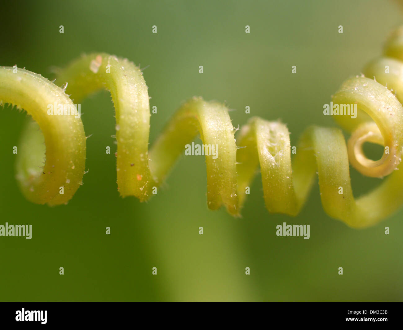 abstrakte Werk Stockfoto