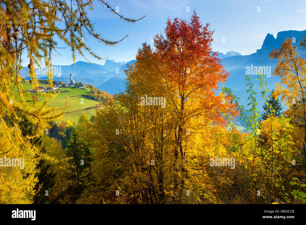 Ritten, Italien, Europa, Trentino, Südtirol, Dorf, Holz, Wald, Lärchen, Pappeln, Herbstfärbung Stockfoto