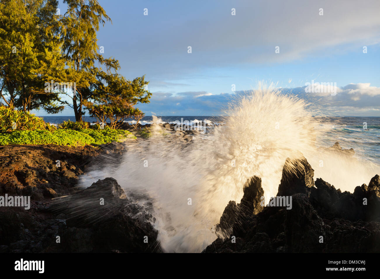 Laupahoehoe, Point, USA, USA, Amerika, Hawaii, Big Island, Meer, Pacific, Felsen, Klippen, Wellen, Surfen, Morgenlicht, Stockfoto