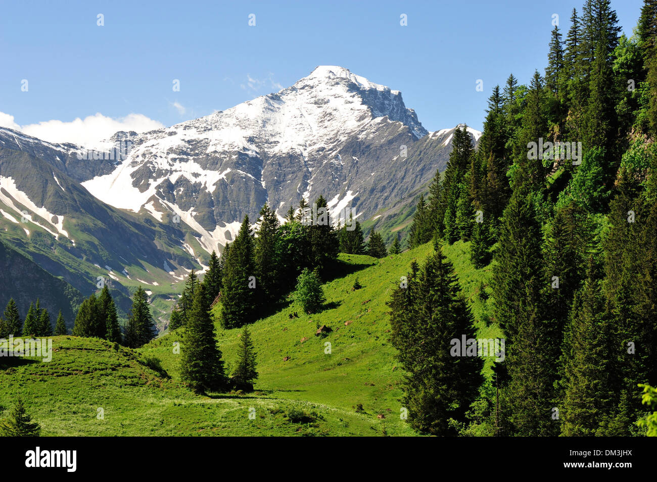 Tal von Weisstannen, Foostock, Berge, Alpen, Schnee, Kanton St.Gallen,  Schweiz, Europa, Europa, Tannen Stockfotografie - Alamy