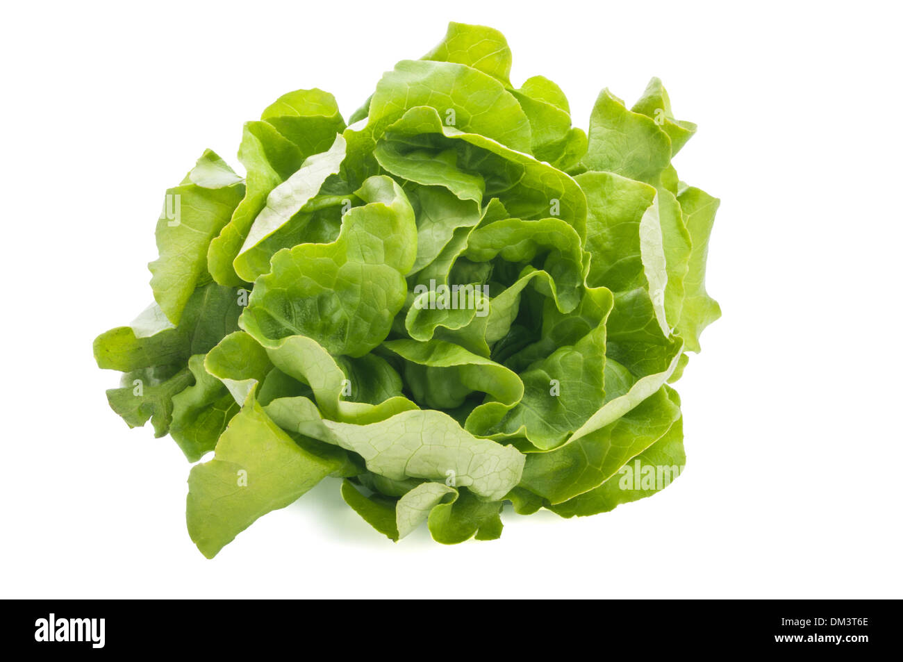 Frischer Salat Salatblätter Haufen isoliert auf weißem Hintergrund Stockfoto