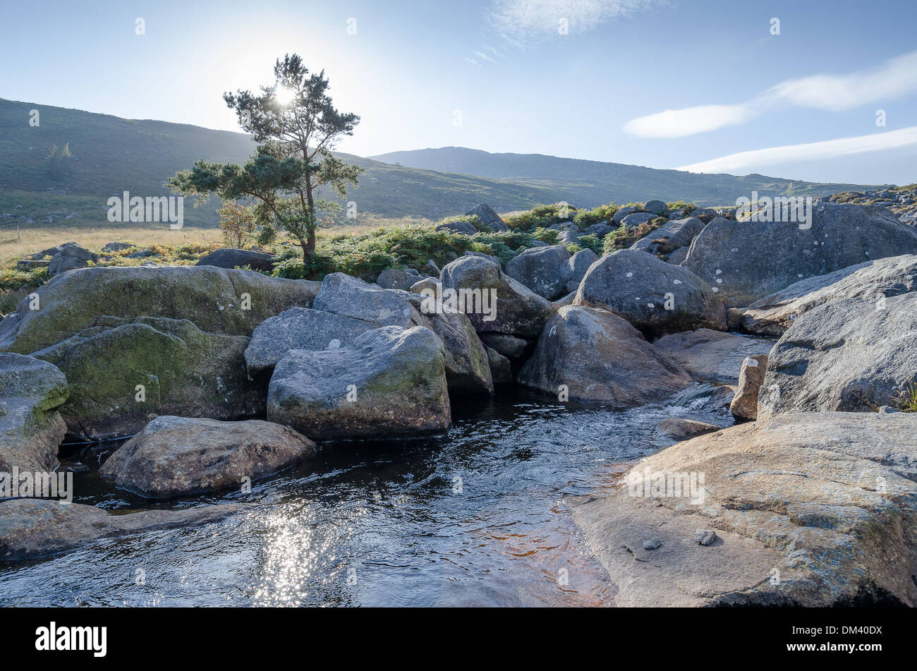 Wicklowberge, Irland im winter Stockfoto