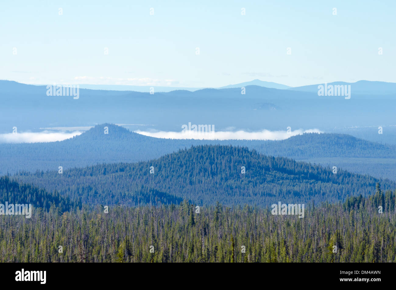 Schönen Wald bedeckten Hügeln in Zentral-Oregon Stockfoto