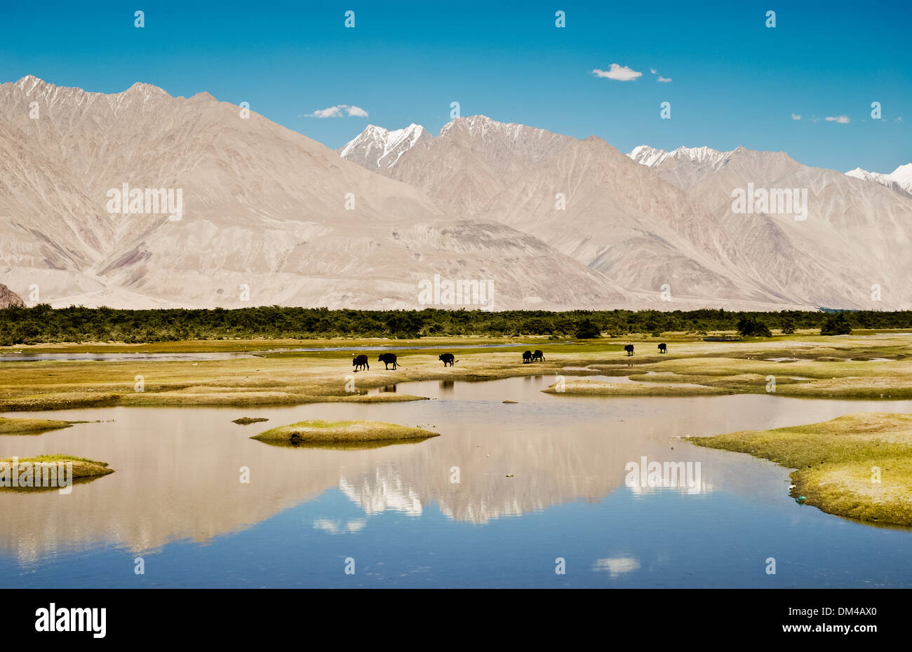 Ladakh, Indien - 17. Juli 2009: Reflexion von hohen Bergen in den Gewässern des Sees Tso Kar. Stockfoto