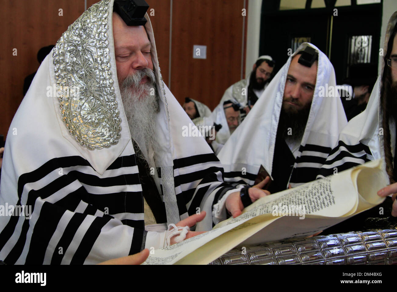 Der Rabbi der Premishlan Kongregation ist Purim Megillah lesen. Stockfoto