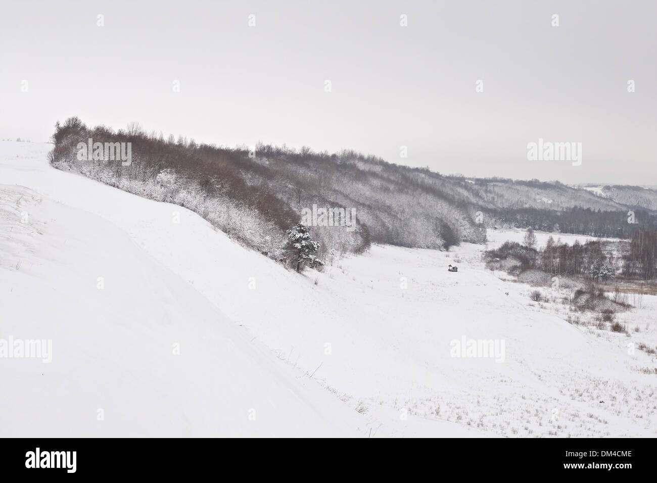 Hang des Hügels bedeckt mit Schnee und Bäume Stockfoto