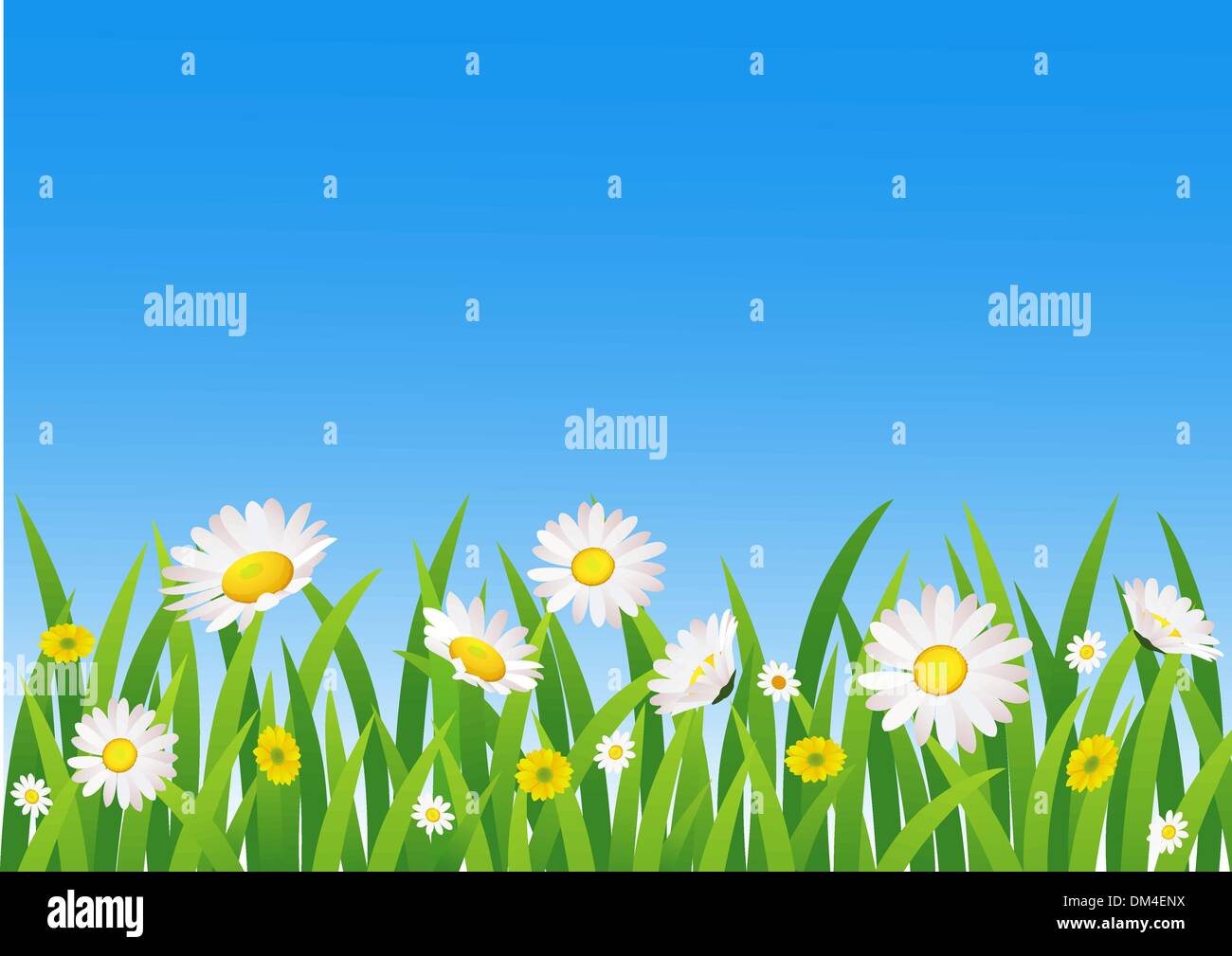 Vektor-schöne Zeitmessung Stock Vektor