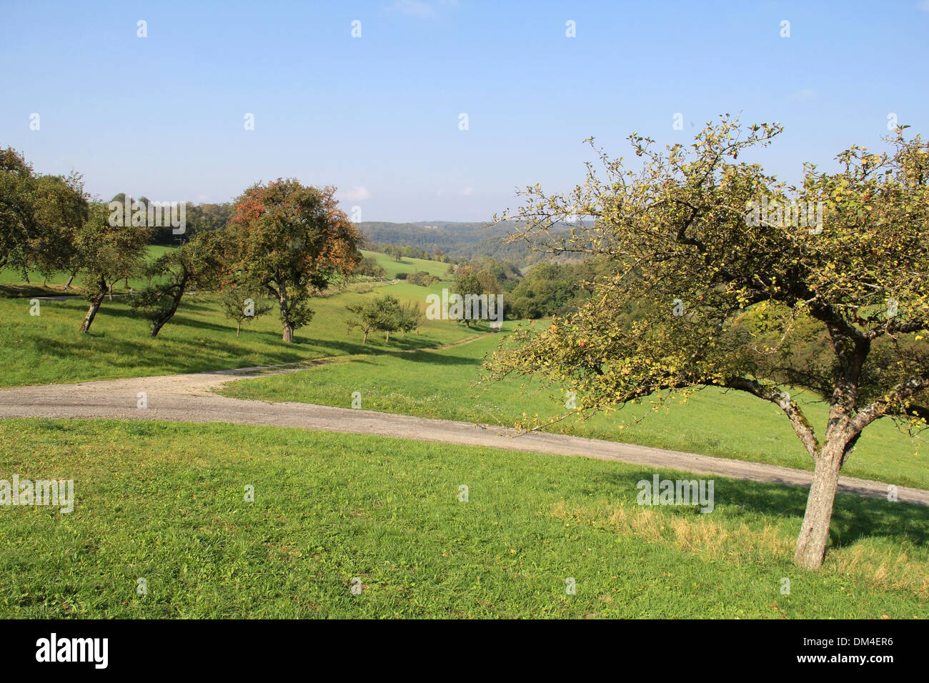 idyllische ländliche Landschaft in Hohenlohe im Herbst Stockfoto