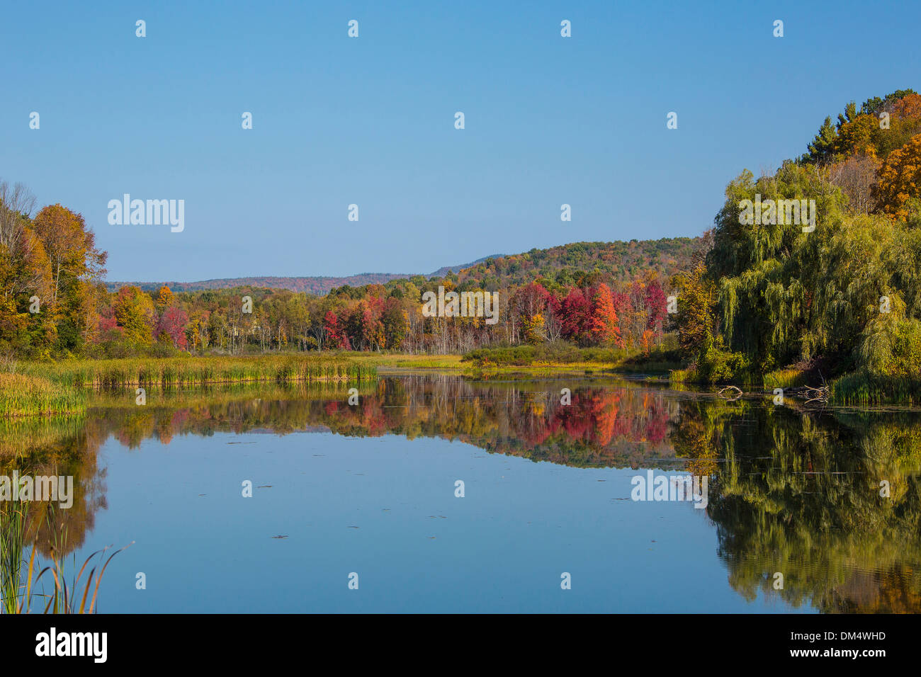 Herbst Berkshire Massachusetts Shakers Teich USA USA Amerika bunten Bezirk See Natur friedlich rote Reflexion Stockfoto