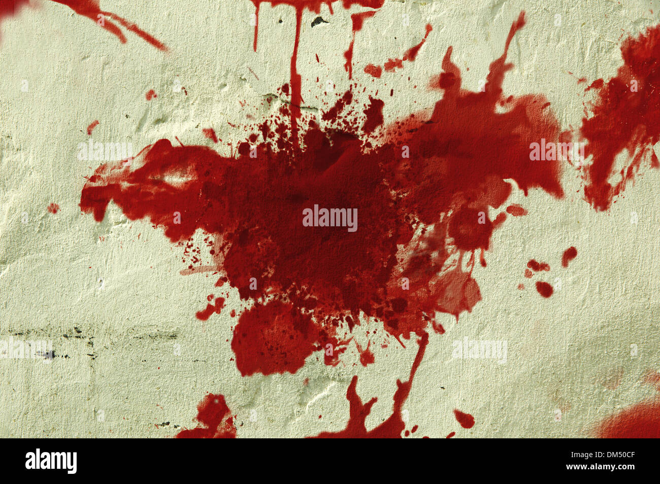 Rotes Blut Splatter an der Grunge-Wand. Stockfoto
