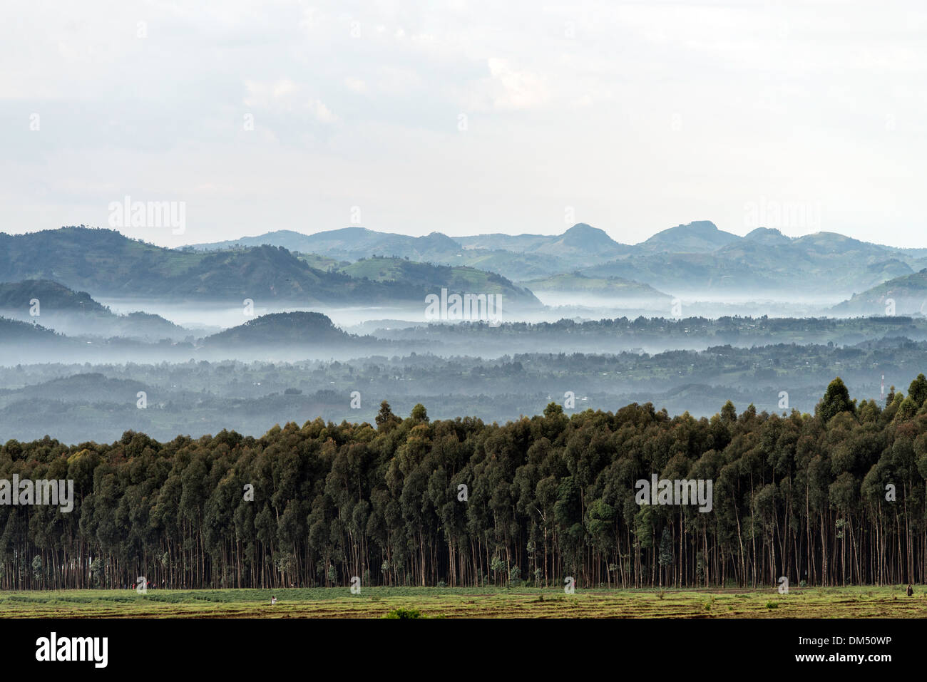 Landschaften-Volcanoes-Nationalpark Ruanda Afrika Stockfoto