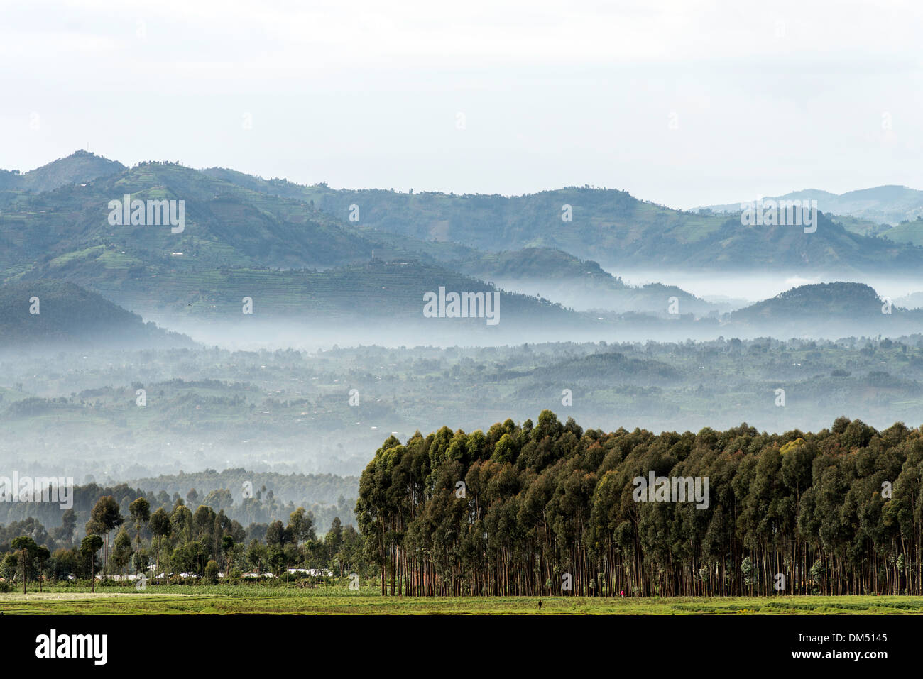 Landschaften-Volcanoes-Nationalpark Ruanda Afrika Stockfoto