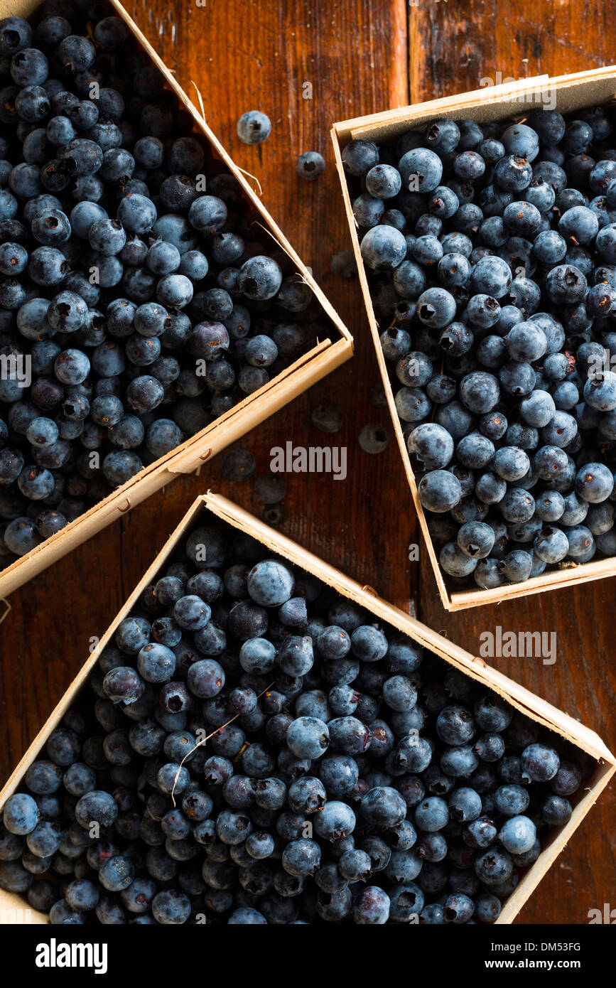 WILDE BLAUBEEREN IN HOLZ KORB Stockfoto