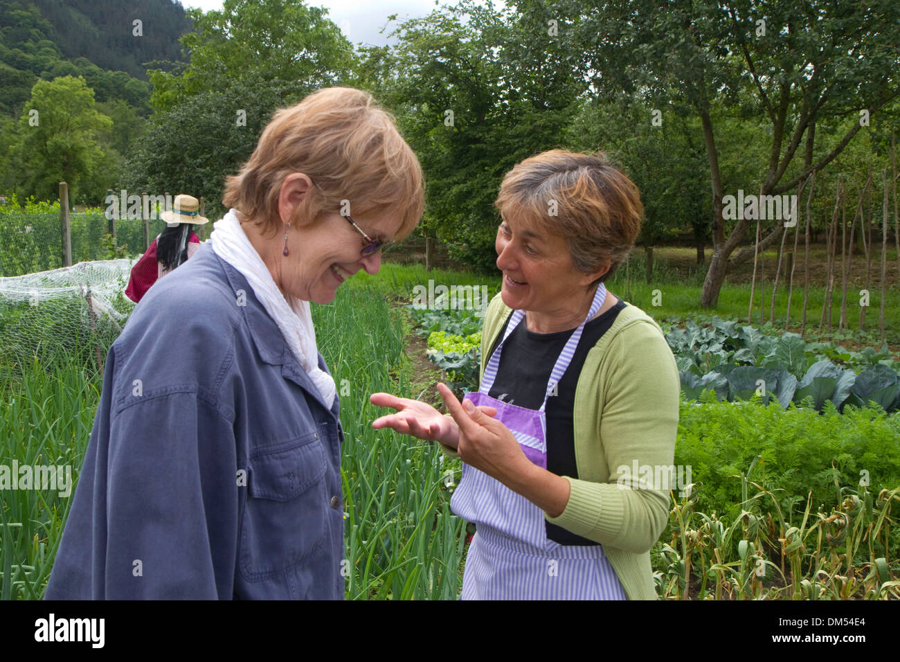 Amerikanischer Tourist und Spanierin sprechen über Gartenarbeit in der Gemeinde von Cangas de Onis in Asturien, Spanien. Stockfoto