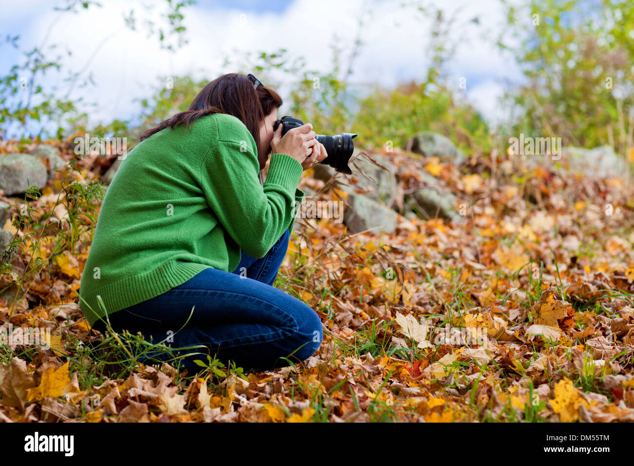 Fotografin hocken im Herbstlaub zu fotografieren Stockfoto