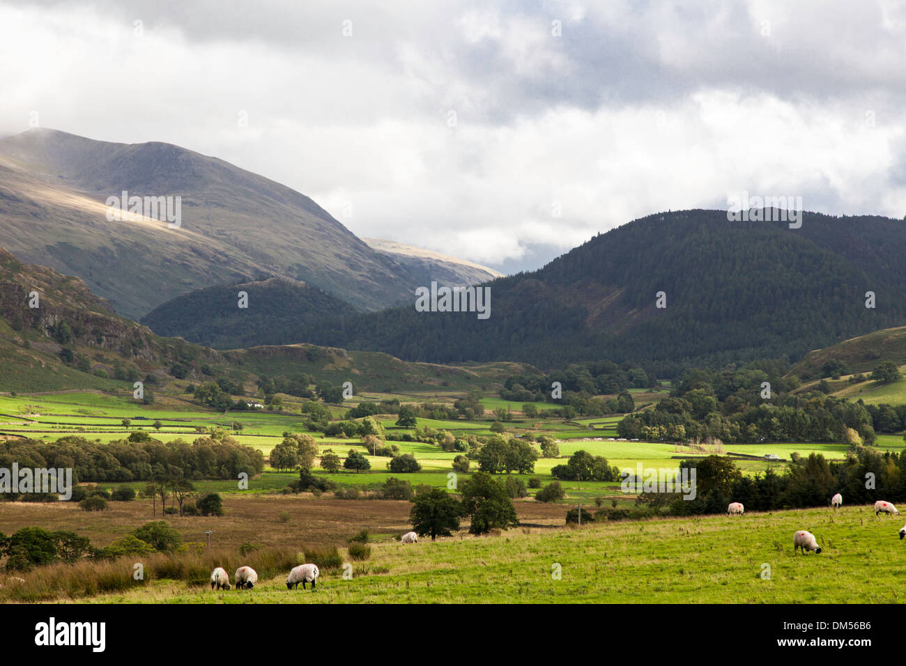 Castlerigg fiel und hohen Rigg aus Castlerigg Stone Circle, Nationalpark Lake District, Cumbria, England, UK Stockfoto