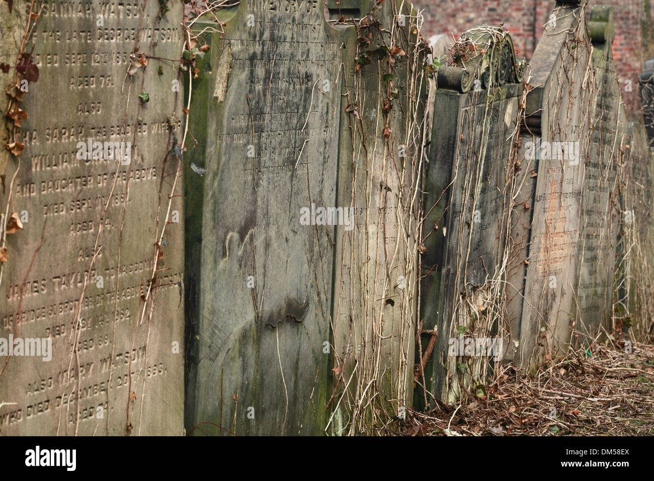 Grabsteine auf dem Friedhof von York Stockfoto