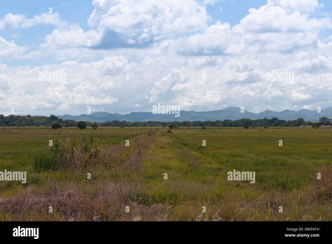 Guanacaste Landschaft Stockfoto