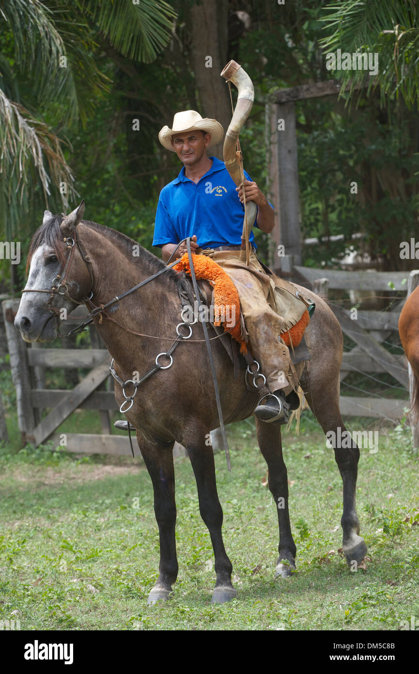 Pantaneiro Cowboy auf Pferd mit Kuh Horn, das Pantanal, Mato Grosso, Brasilien Stockfoto