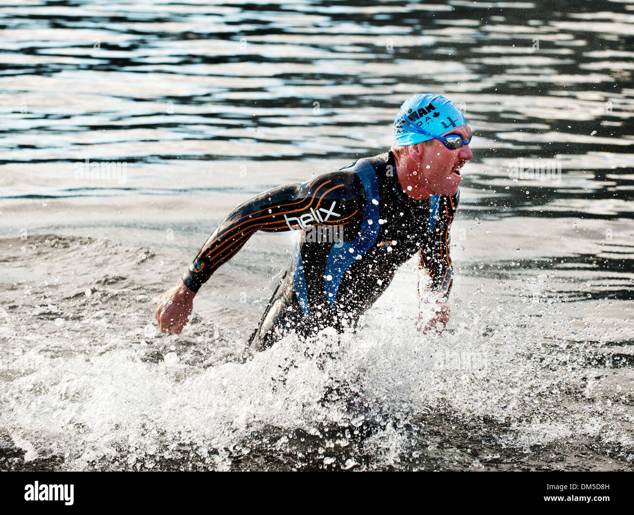Der erste Schwimmer kommt am Ende des Schenkels des Ironman schwimmen. 2013-Whistler-Ironman-Rennen. 25. August 2013. Stockfoto