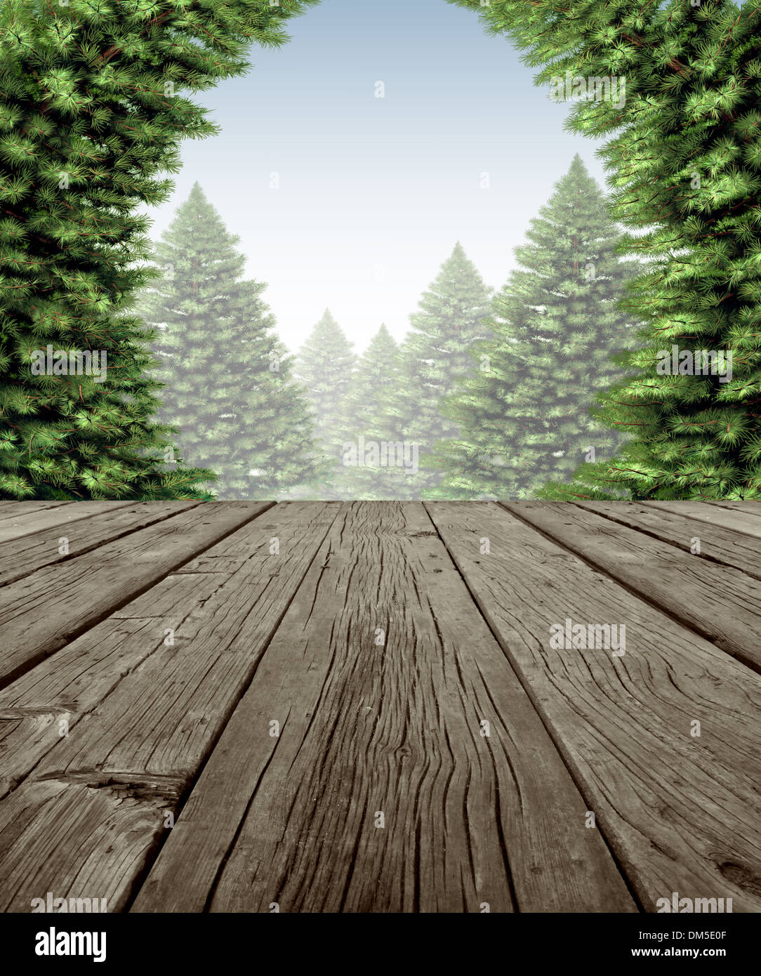 Winter Wald Frame-Szene auf alte verwitterte Holz Terrasse Terrasse mit Blick auf einen winterlichen Wald von grünen Kiefern an einem kalten Tag als Stockfoto