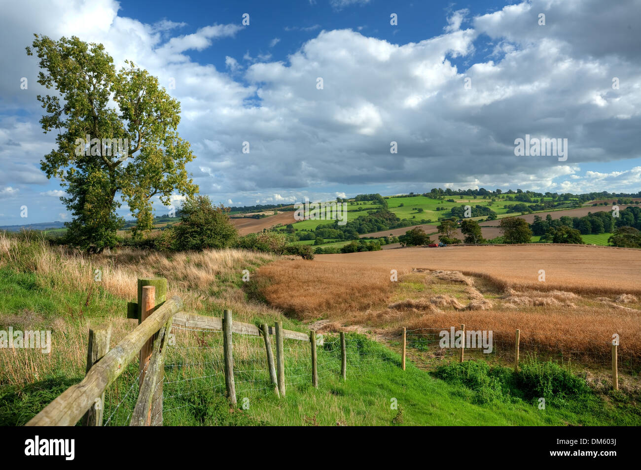 Die Ernte auf Meon Hügel in der Nähe von Chipping Campden, Gloucestershire, England. Stockfoto