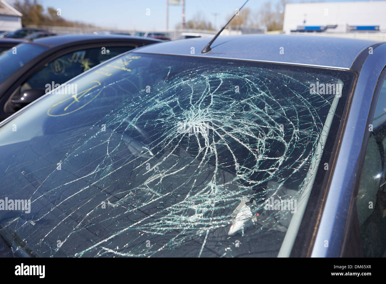 Loss Adjuster Inspektion Auto Unfall beteiligt Stockfoto