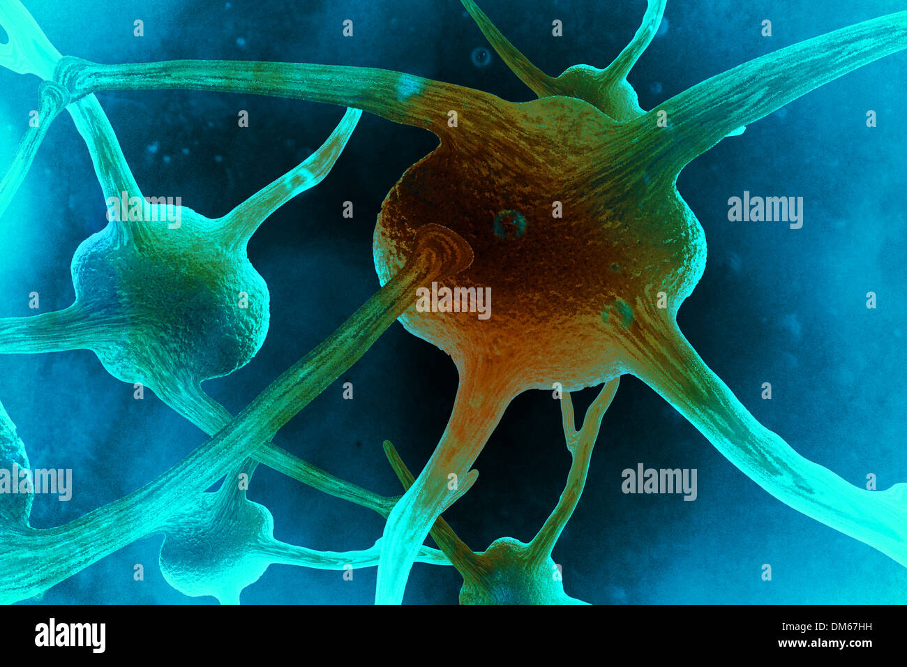 Zelle, Zellen, Neurone, Synapse, Neurone Zellen, Kunst, Gesundheit, Gesundheitswesen, Wissenschaft, Forschung Stockfoto