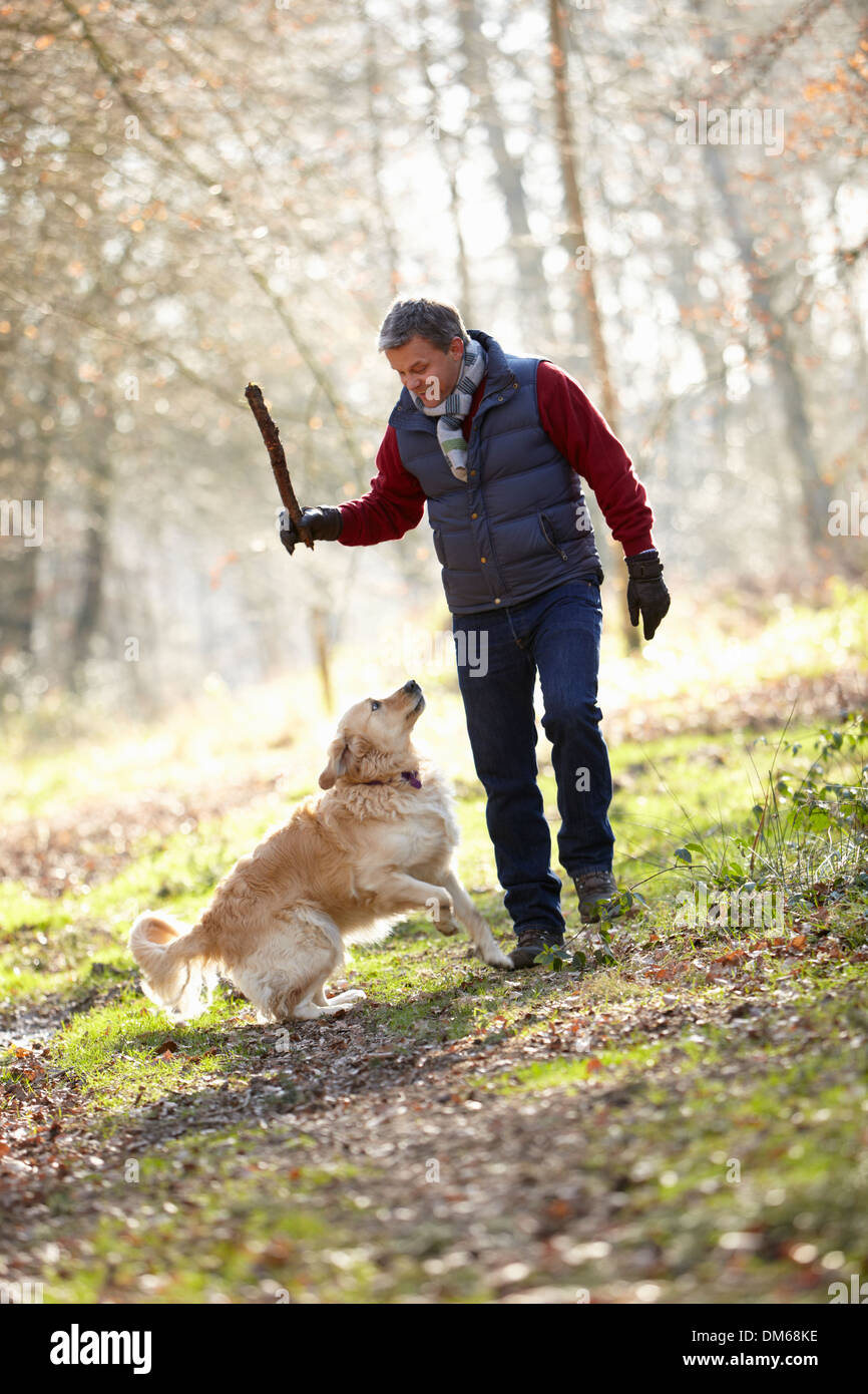 Mann warf Stick für Hund auf Spaziergang durch Herbst Wald Stockfoto
