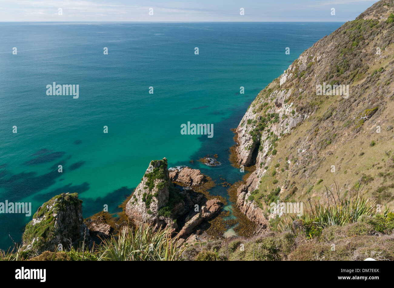 Nugget Point, Catlins Coast, South Otago, South Island, Neuseeland. Stockfoto