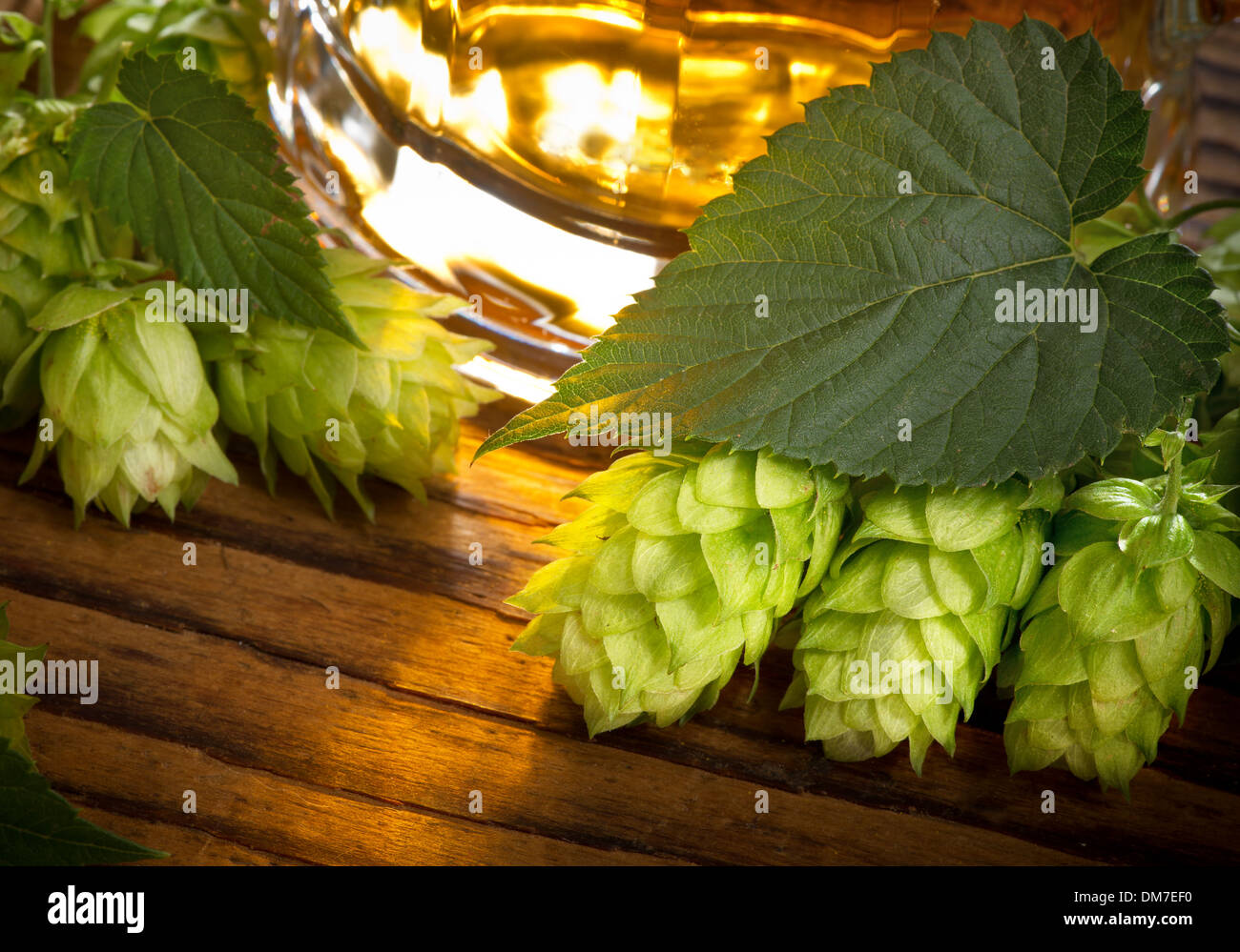 Stillleben mit Rohstoff für die Herstellung von Bier Stockfoto