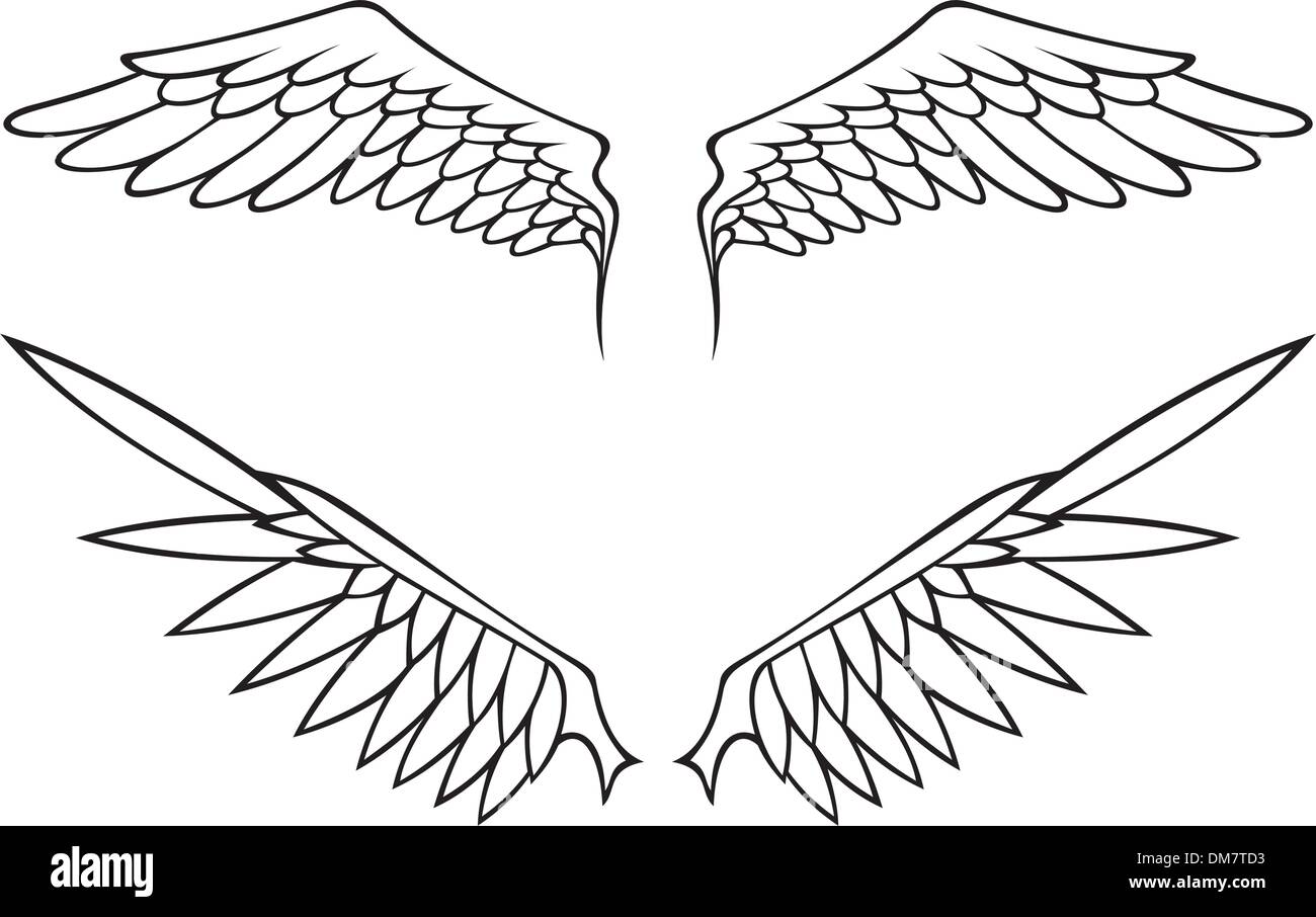 Flügel-set Stock Vektor