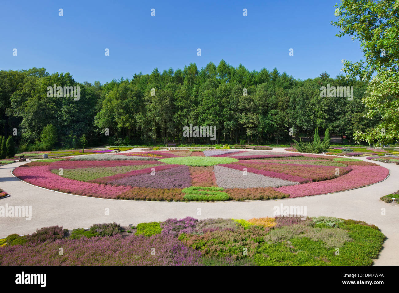 Heidegarten / Heidegarten mit 140 verschiedenen Heide bei Schneverdingen, Lüneburg Heath / Lunenburg Heide, Deutschland Stockfoto