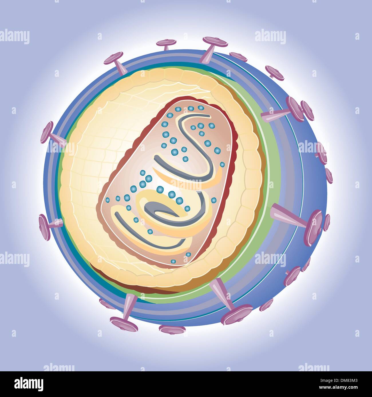 Illustration des HIV-Vektor - medizinische illustration Stock Vektor
