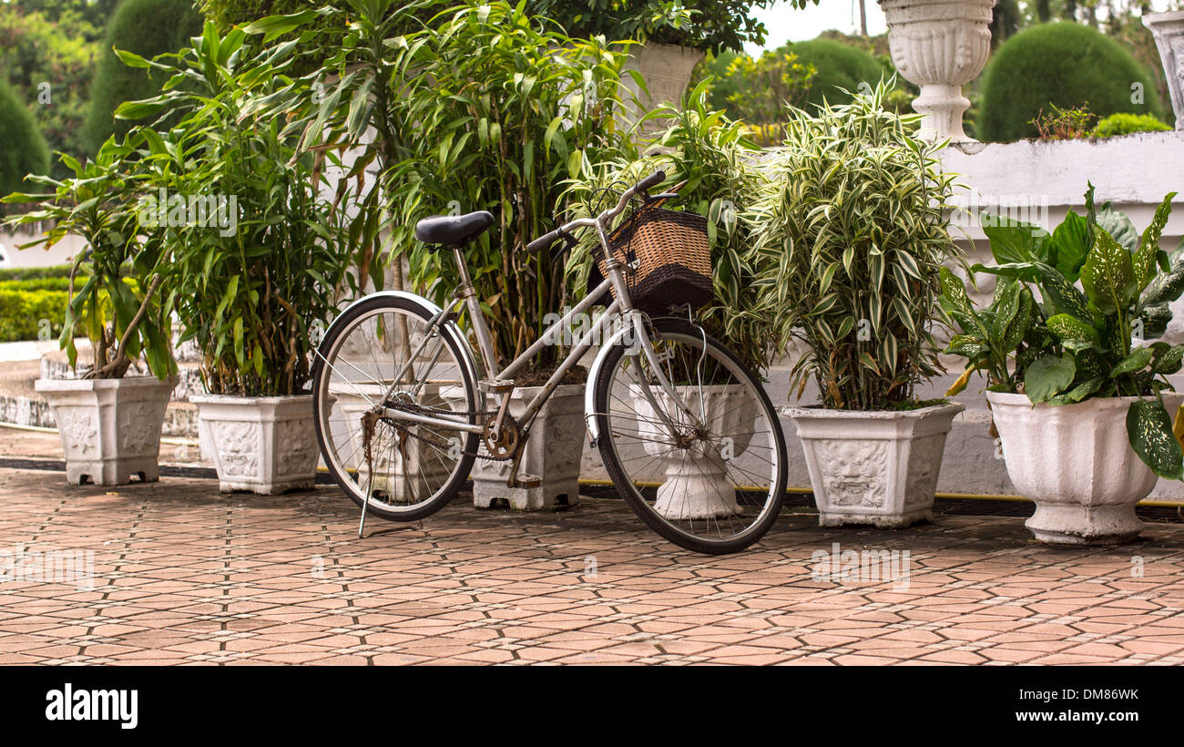 Fahrrad durch Pflanzer Vientiane Laos in Südostasien Stockfoto