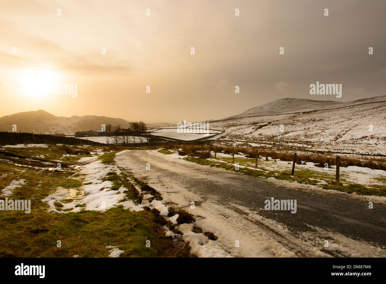 Birker fiel Tauwetter Stockfoto