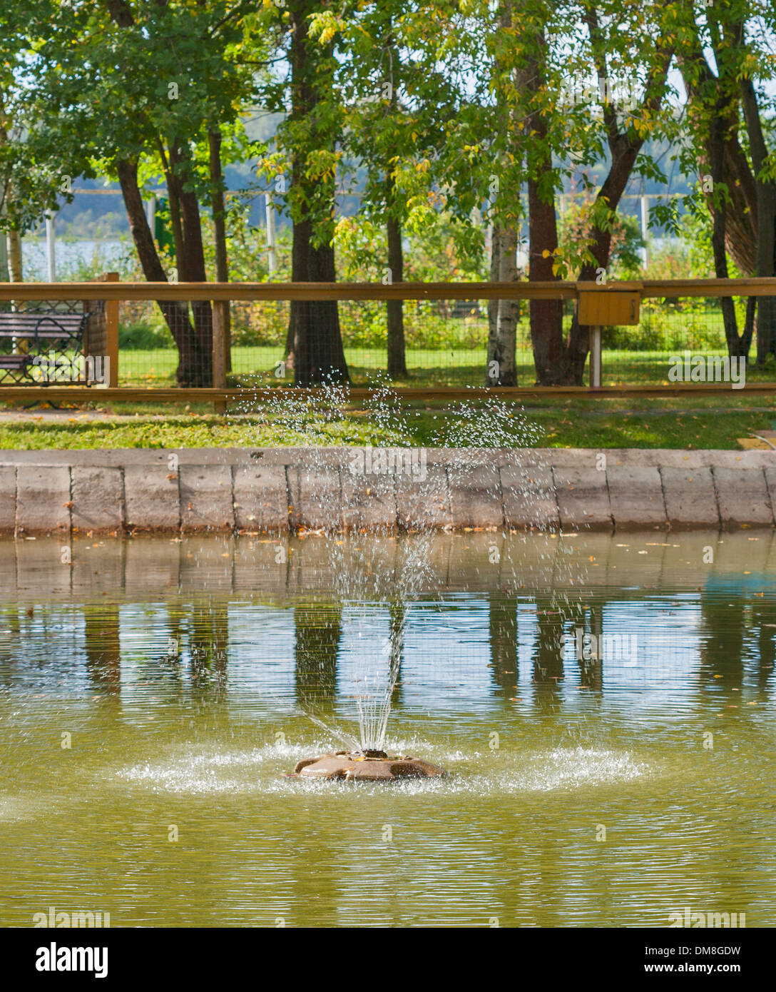 kleiner Brunnen im Stadtpark-Teich Stockfoto