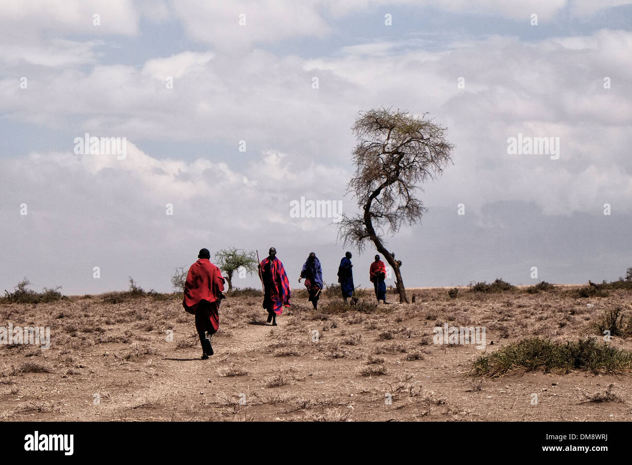 Maasai shuka rote robe -Fotos und -Bildmaterial in hoher Auflösung – Alamy