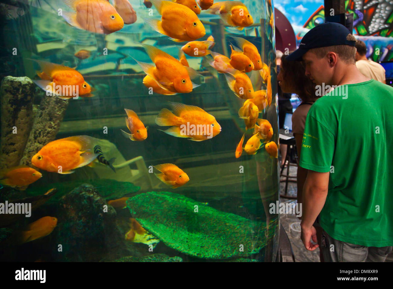 Besucher genießen gerade tropische Fische im AQUARIUM RAYONG - RAYONG, THAILAND Stockfoto
