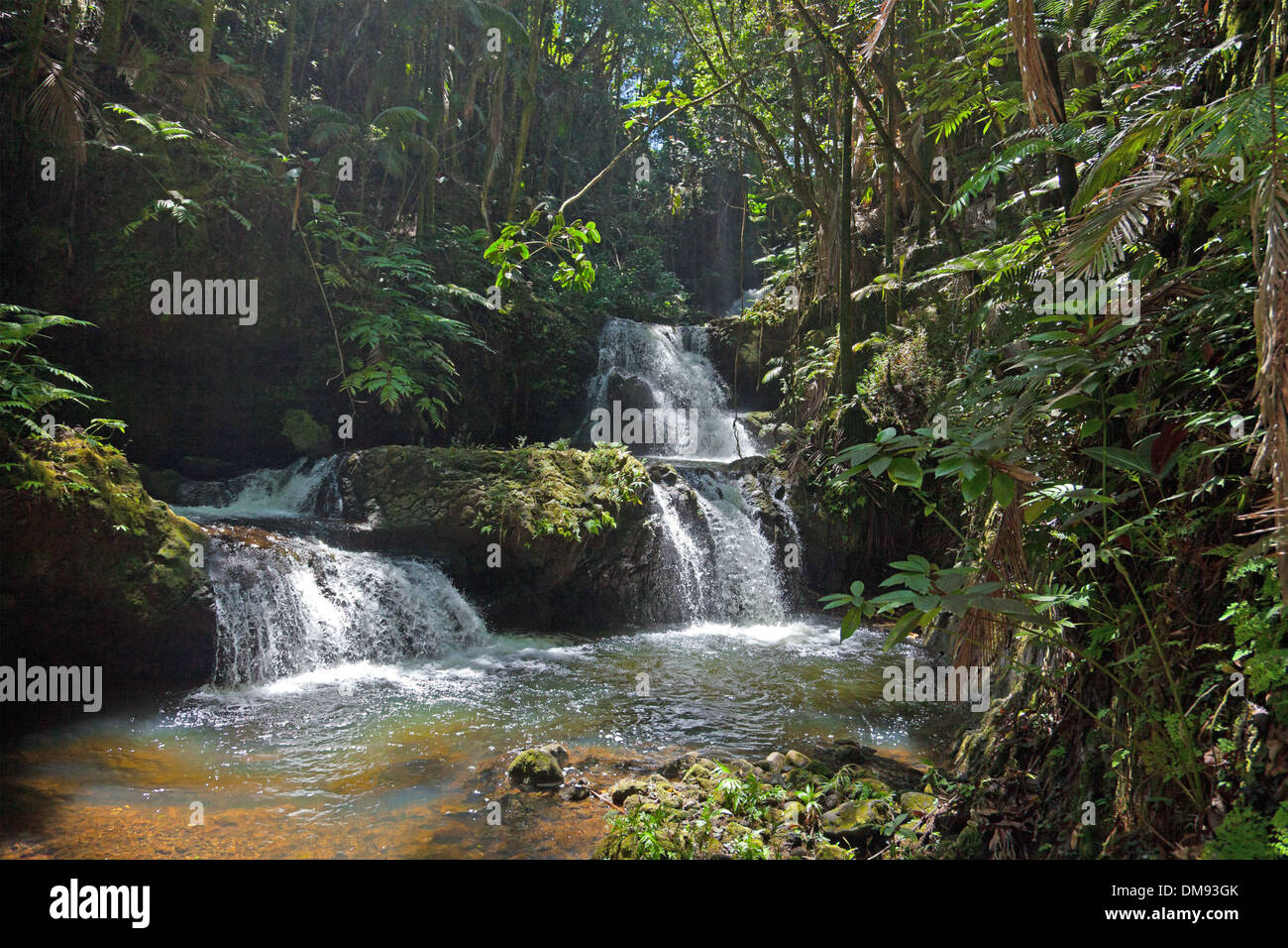 Onomea Wasserfälle hinzufügen die Dimension der rauschenden Wasser zu Hawaii Tropical Botanical Garden Stockfoto