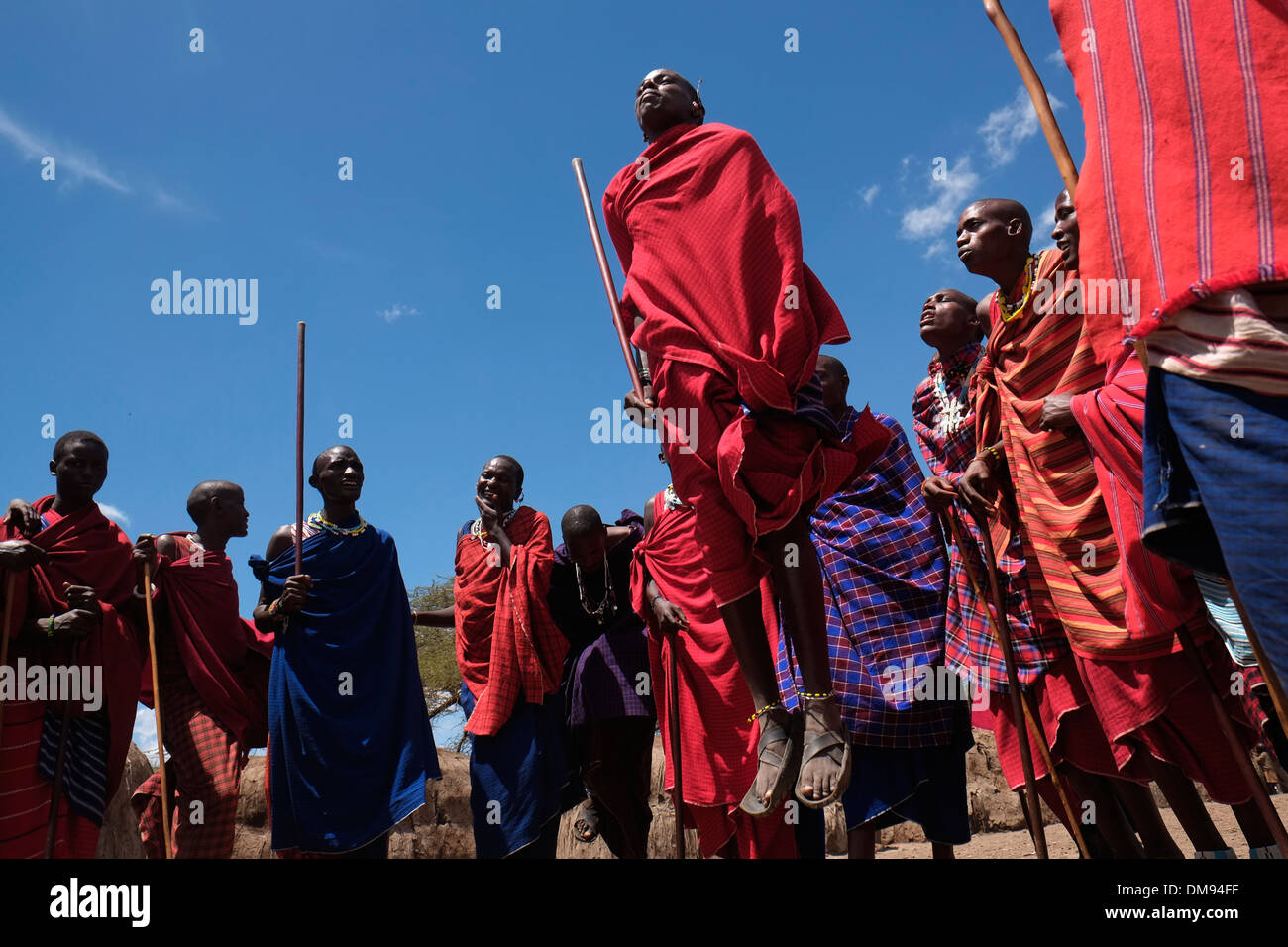 Eine Gruppe von Massai Männer, die sich an der traditionellen Adumu Tanz allgemein bekannt als das Springen Tanz in einem kommenden alt Zeremonie für junge Krieger in der Masai Stamm in der Ngorongoro Conservation Area im Krater im Hochland von Tansania Ostafrika durchgeführt Stockfoto